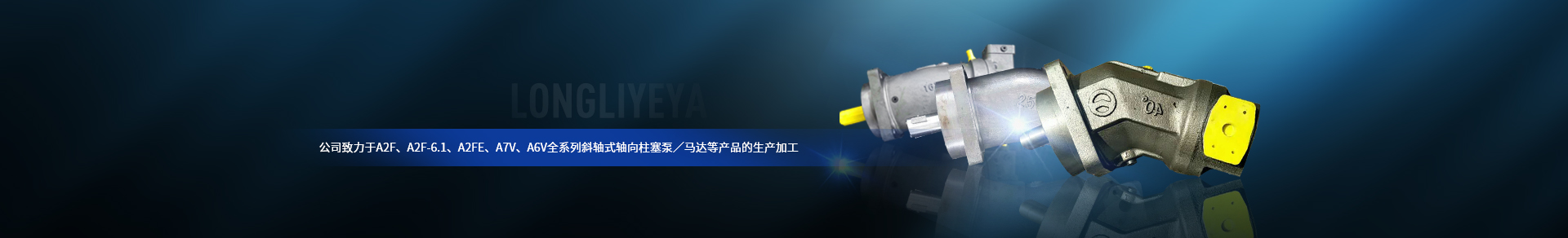 启东龙力液压泵有限公司